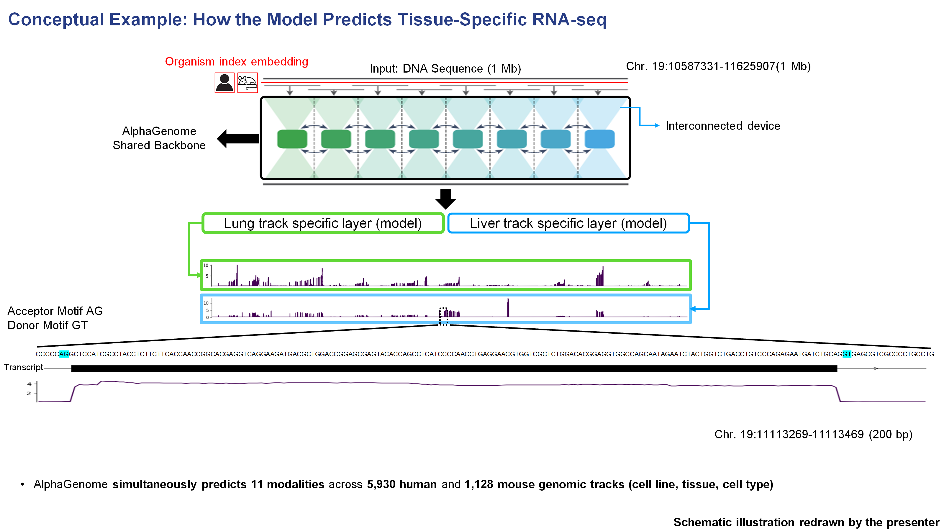 Figure 1 panel A supplementary example