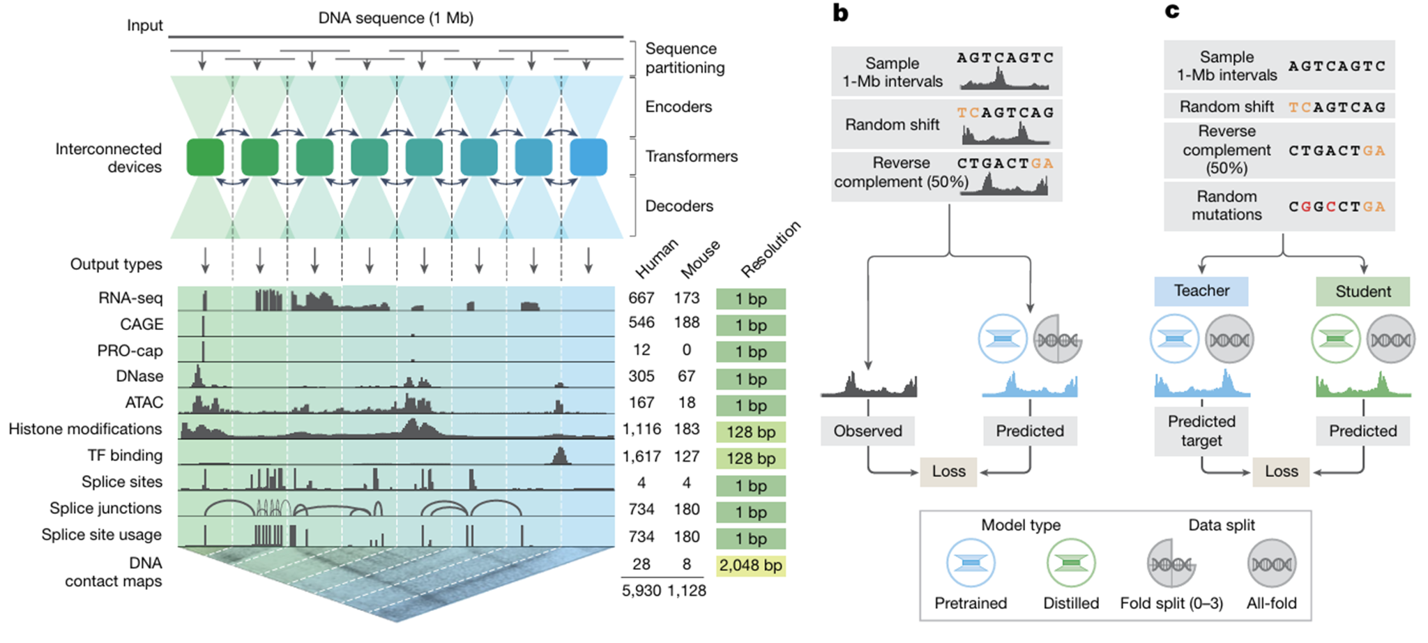 Figure 1 panels B and C