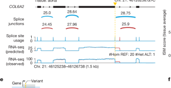 Figure 3 패널 C close-up