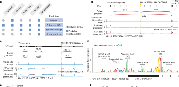 Figure 3 panels B–D