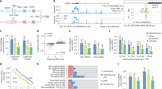 Figure 4 panels A–G
