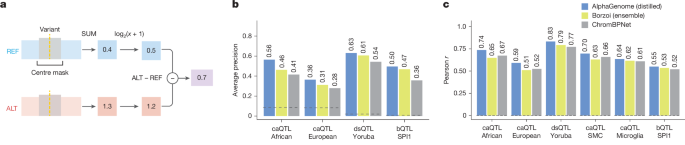 Figure 5 panels A–C