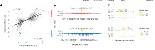 Figure 5 panels D–F