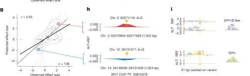 Figure 5 panels G–I